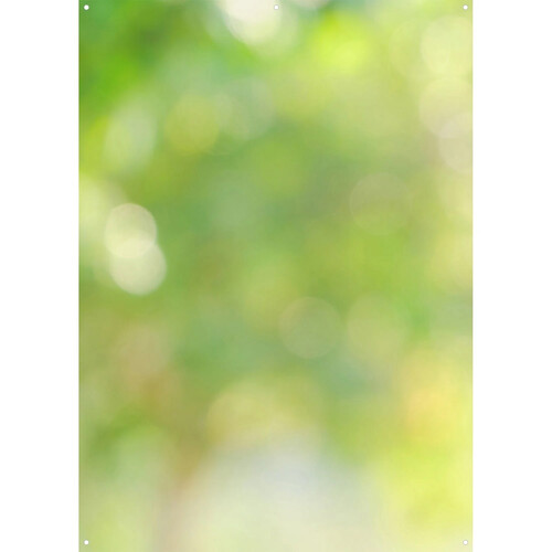 Westcott X-Drop Canvas Backdrop (Forest Bokeh 5 x 7')