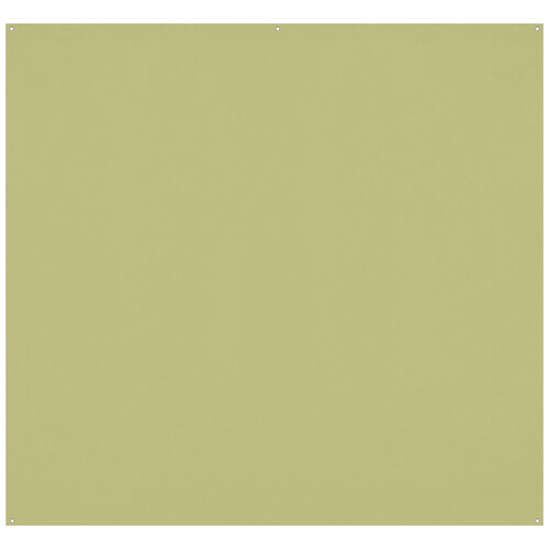 Westcott X-Drop Pro Wrinkle-Resistant Backdrop (Light Moss Green 8 x 8')