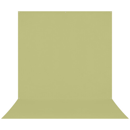 Westcott X-Drop Pro Wrinkle-Resistant Backdrop (Light Green Moss 8 x 13')
