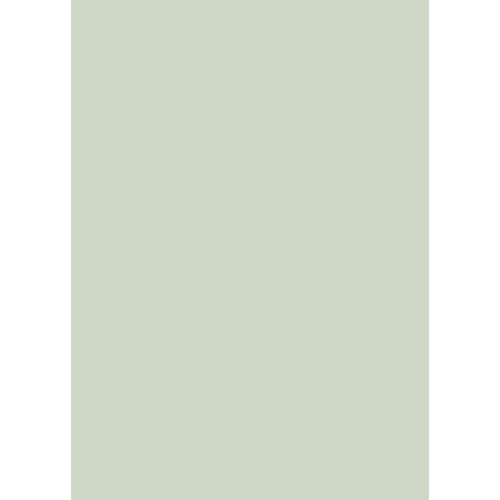 Westcott Solid Color Art Canvas Backdrop with Grommets (5 x 7' Light Green)