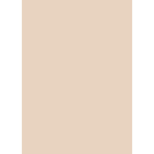 Westcott Solid Color Art Canvas Backdrop with Grommets (5 x 7' Light Orange)