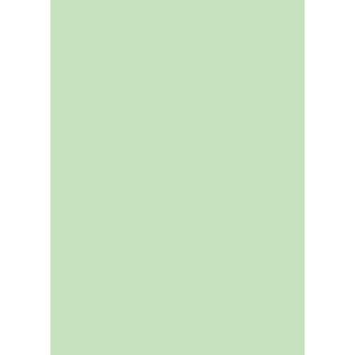Westcott Solid Color Art Canvas Backdrop with Grommets (5 x 7' Green)
