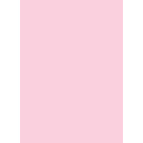 Westcott Solid Color Art Canvas Backdrop with Grommets (5 x 7' Pink)