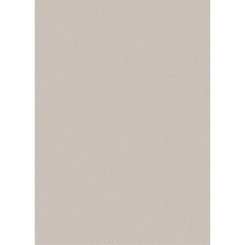 Westcott Subtle Hatched Art Canvas Backdrop with Grommets (5 x 7' Brown)