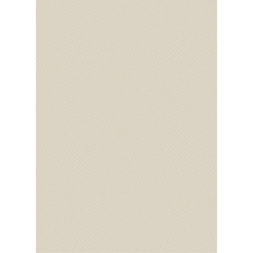 Westcott Subtle Hatched Art Canvas Backdrop with Grommets (5 x 7' Tan)
