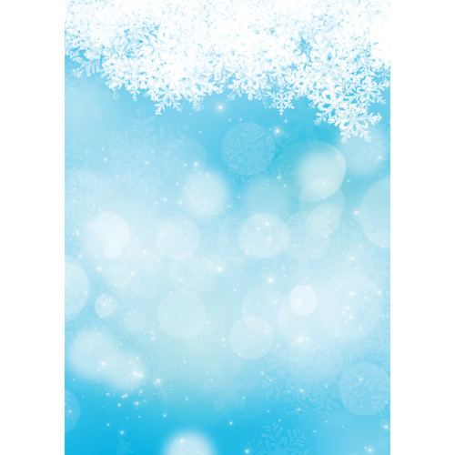 Westcott Snowy Bokeh Art Canvas Backdrop with Grommets (5 x 7' Blue)
