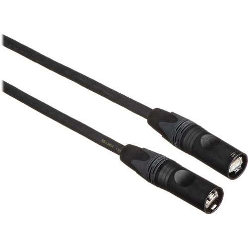 Whirlwind EtherCON to EtherCON Cat 6a Shielded Ethernet Cable (250')