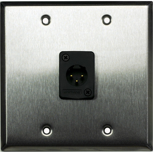 Whirlwind WP2/1MW 2-Gang Wall Plate with 1 Whirlwind WC3M Male XLR Terminal (Stainless Steel Finish)
