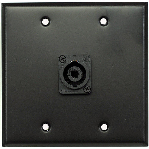 Whirlwind WP2B/1NL4 2-Gang Wall Plate with 1 Neutrik NL4 Speakon Terminal (Black Finish)