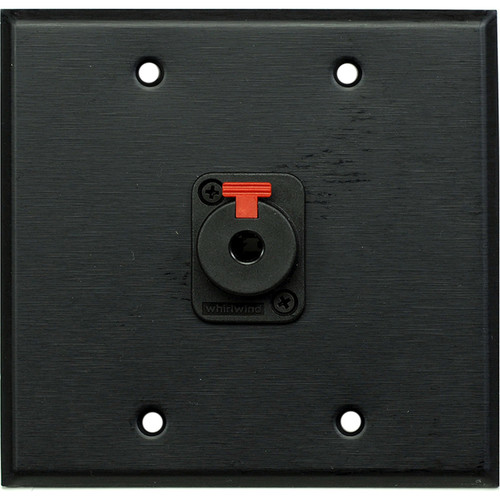 Whirlwind WP2B/1QW 2-Gang Wall Plate with 1 Whirlwind WCQF 1/4