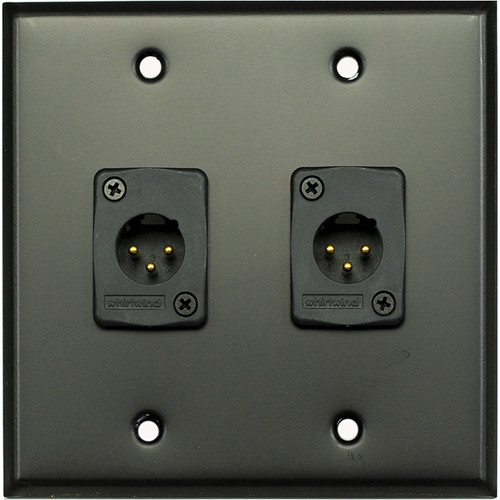 Whirlwind WP2B/2MW 2-Gang Wall Plate with 2 Whirlwind WC3M Male XLR Terminals (Black Finish)