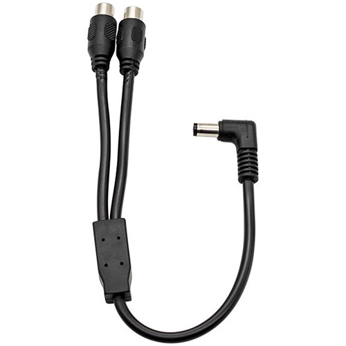 ZWO DC Y-Splitter (1 Male Plug to 2 Female RCA)