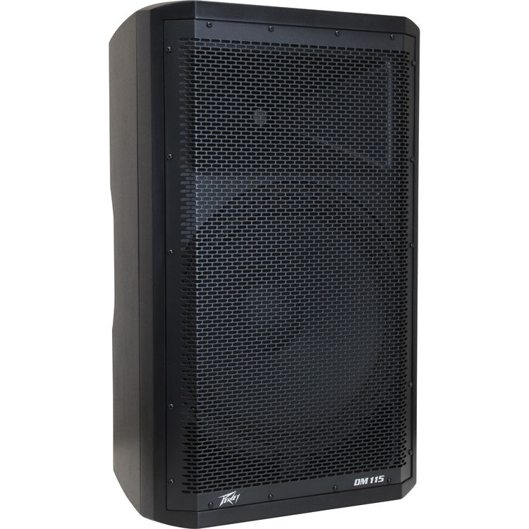 peavey dm 112