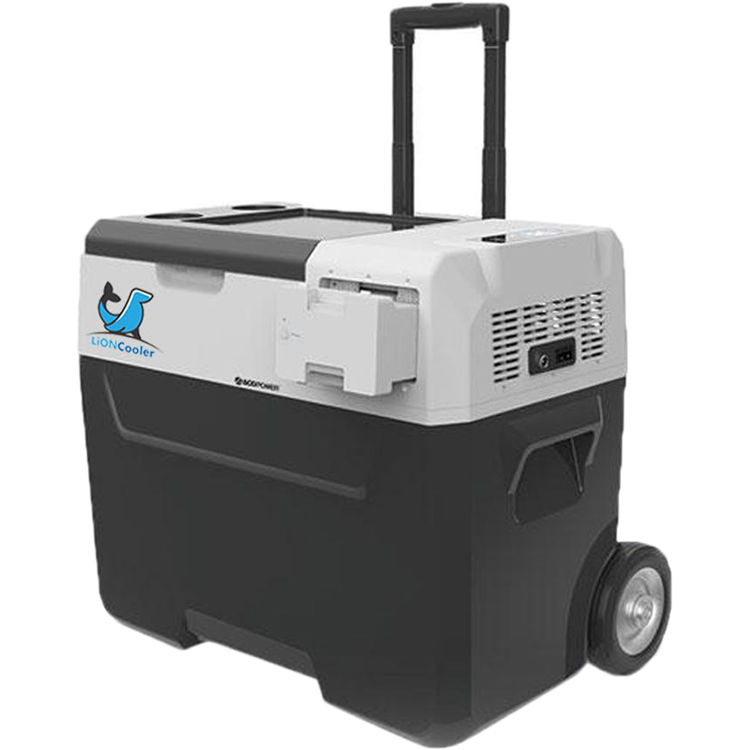 portable freezer cooler