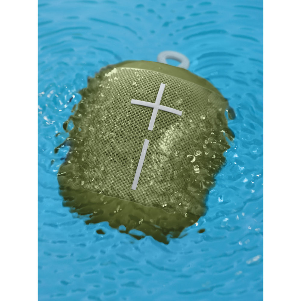 wonderboom avocado