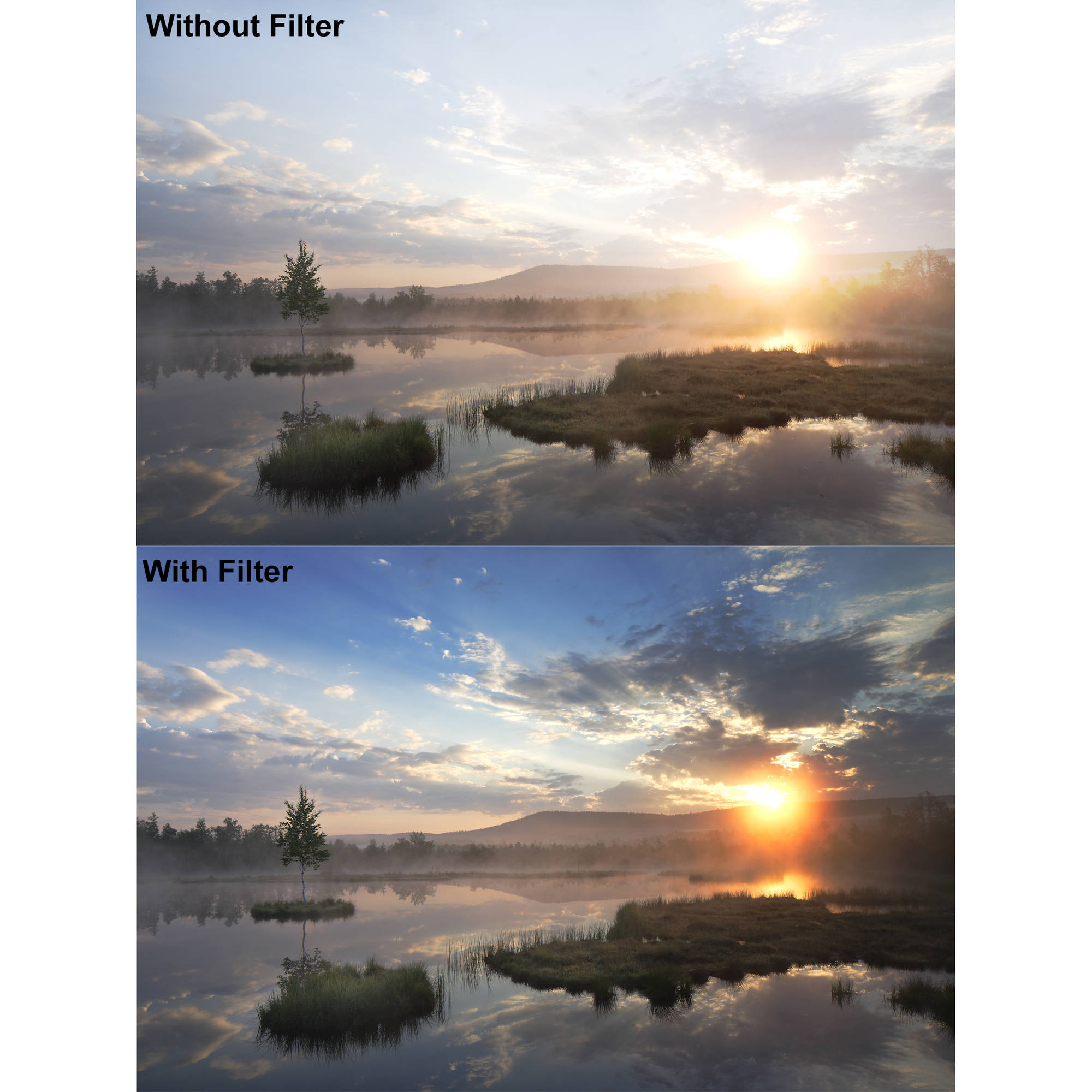 B+W F-Pro 702 55mm Graduated Neutral Density Filter