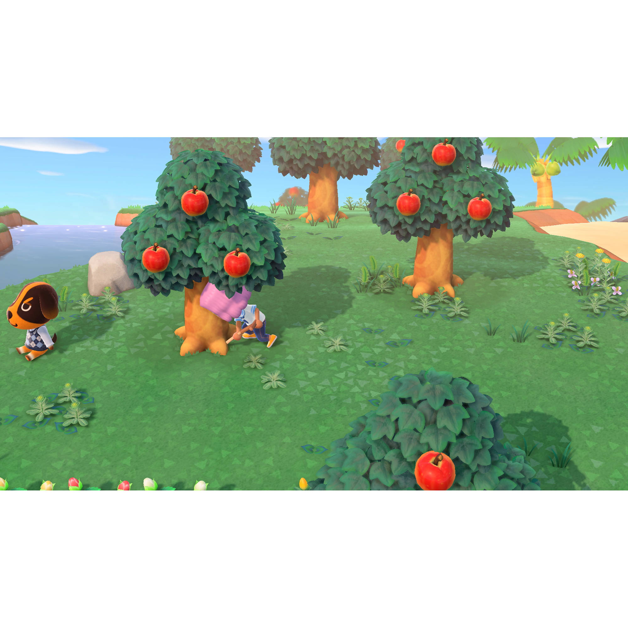 b&h nintendo switch animal crossing