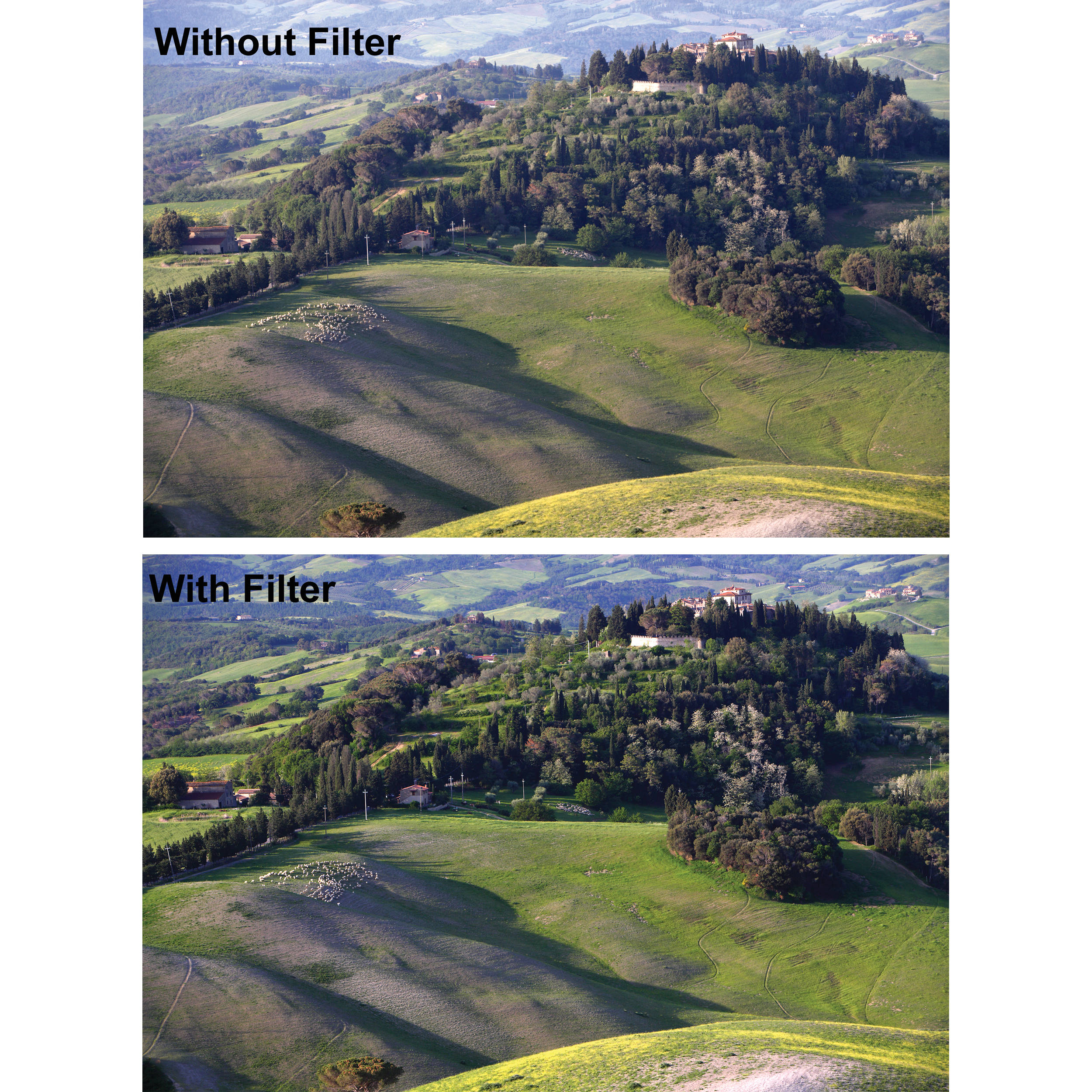 49mm 1A Multicoated UV Haze for Pentax K-01 Multithreaded Glass Filter