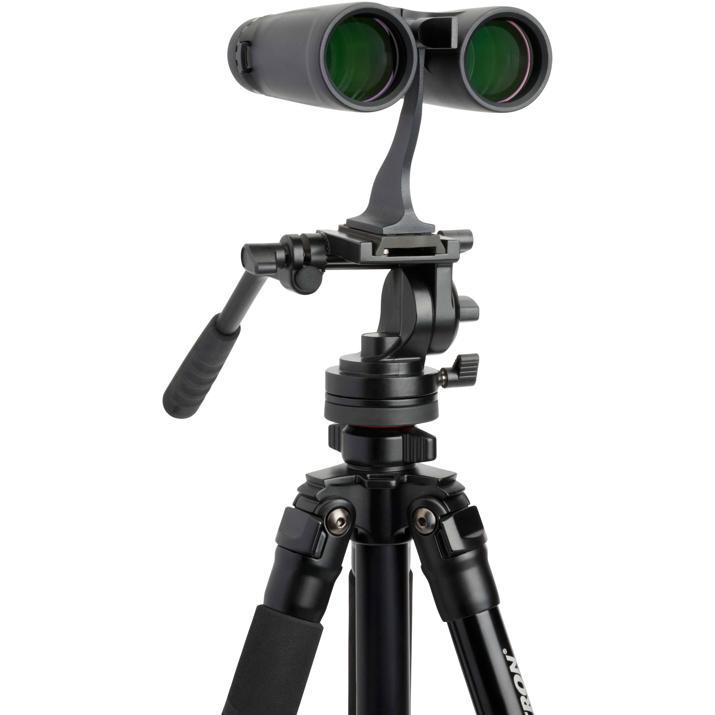 celestron outland x 8x42