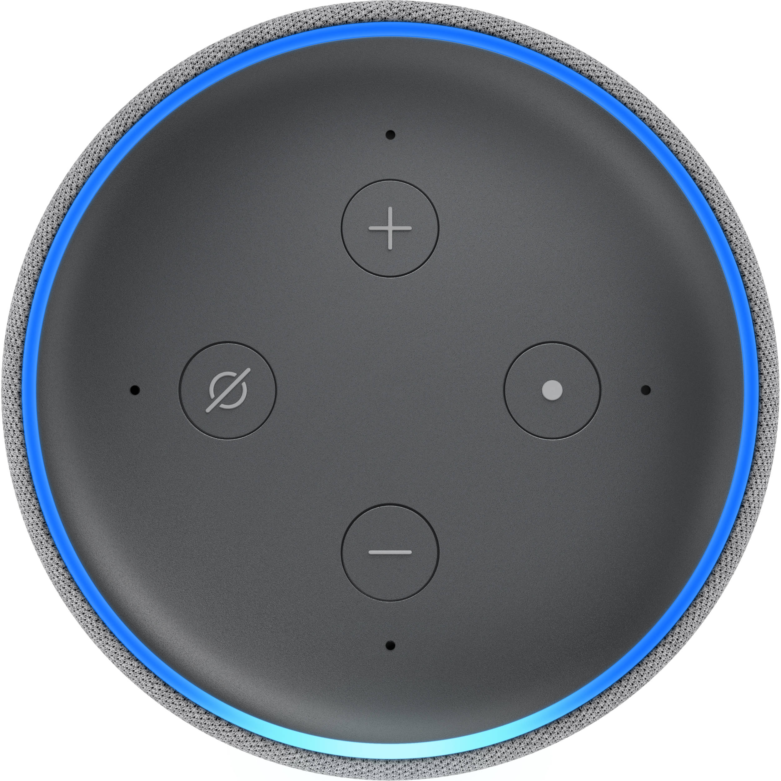 heather gray echo dot