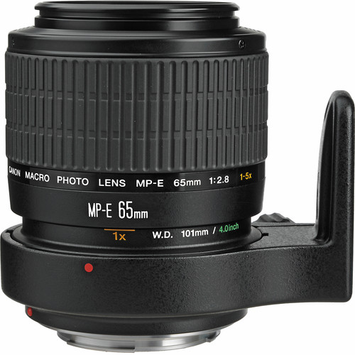 Canon MP-E 65mm f/2.8 1-5x Macro Photo Lens 2540A002 B&H Photo