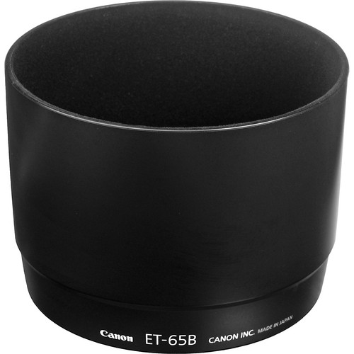 Canon EF 70-300mm f/4.5-5.6 DO IS USM Lens