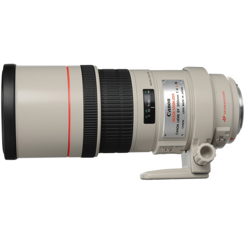 Canon EF 300mm f/4L IS USM Lens 2530A004 B&H Photo Video