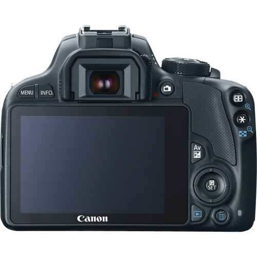 canon 6d with 50mm 1.4