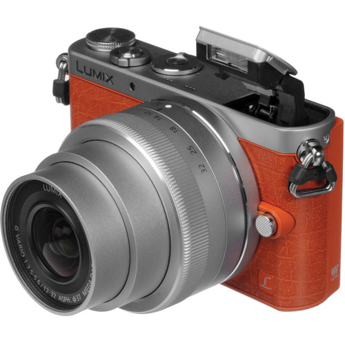 Panasonic's Lumix GM1 is the smallest Micro Four Thirds camera yet