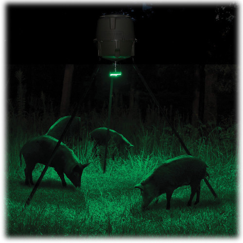spænding Uskyldig Beregning Moultrie Feeder Hog Light for Select Feeders MFA-12651 B&H Photo