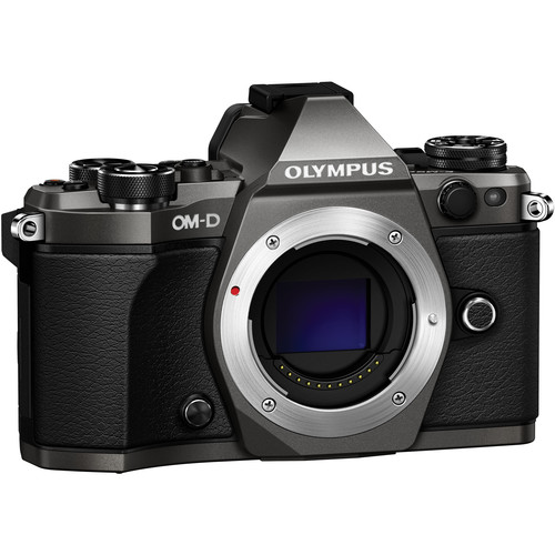 特注製作OLYMPUS OM-D E-M5 Mark II S数4197回 デジタルカメラ