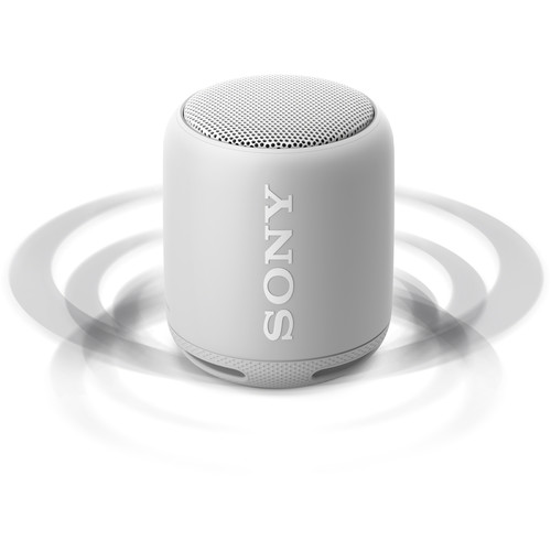 sony srsxb10w