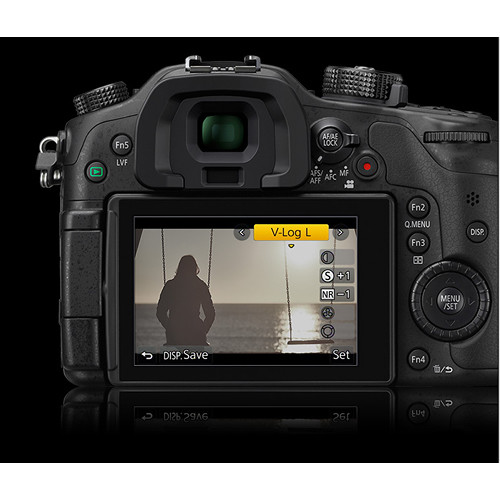 Panasonic DMW-SFU1 Lumix V-Log L Function Firmware Upgrade Kit