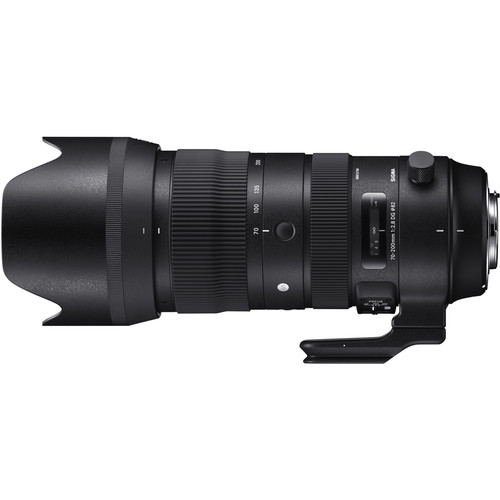 Sigma 70-200mm F2.8 DG DN Sport Review 