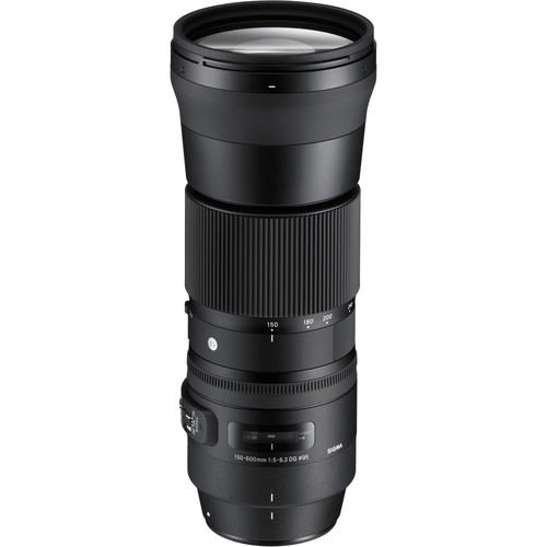 Sigma 150-600mm f/5-6.3 DG OS HSM Contemporary Lens and TC