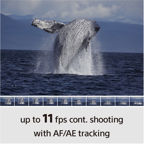 https://static.bhphoto.com/images/multiple_images/images500x500/1566991862_IMG_1243057.jpg
