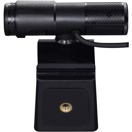 avermedia webcam live streamer cam 313