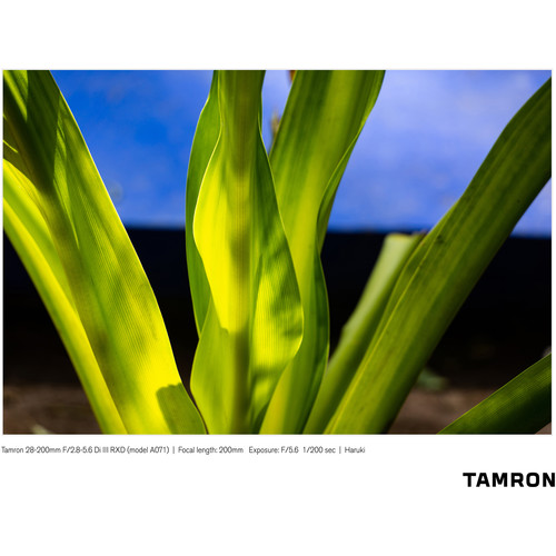 Tamron 28-200mm f/2.8-5.6 Di III RXD Lens (Sony E) A071 B&H