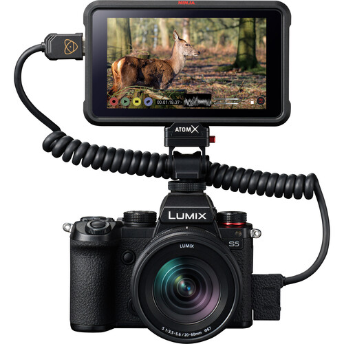Panasonic Lumix S5 Mirrorless Camera with 20-60mm Lens DC-S5KK