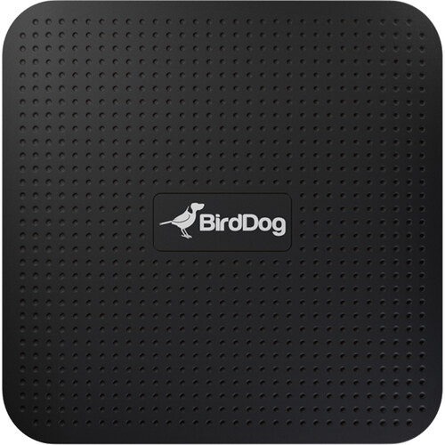 BirdDog Play: Reproductor NDI en 4K