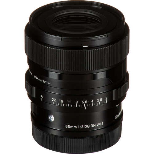 Sigma 65mm f/2 DG DN Contemporary Lens for Leica L 353969 B&H