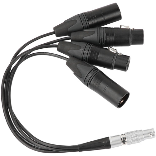 CAMVATE 10-Pin LEMO-Type to 3-Pin XLR Audio Breakout Cable C2720