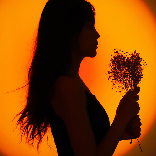 Đèn chiếu trực tiếp hoàng hôn Ulanzi S1