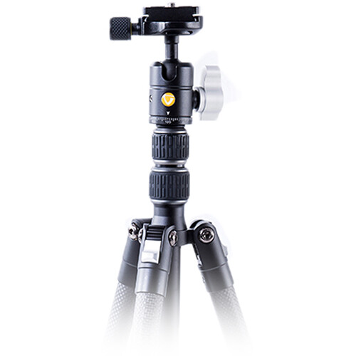 Vanguard Vesta TB 204CB Carbon Fiber Tripod with T-46 Ball Head