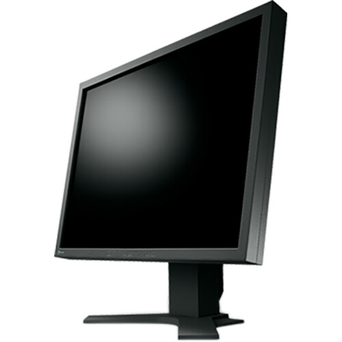 EIZO Flexscan S2133 21.3