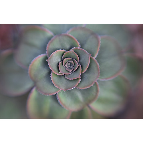 lensbaby 46mm macro filter kit