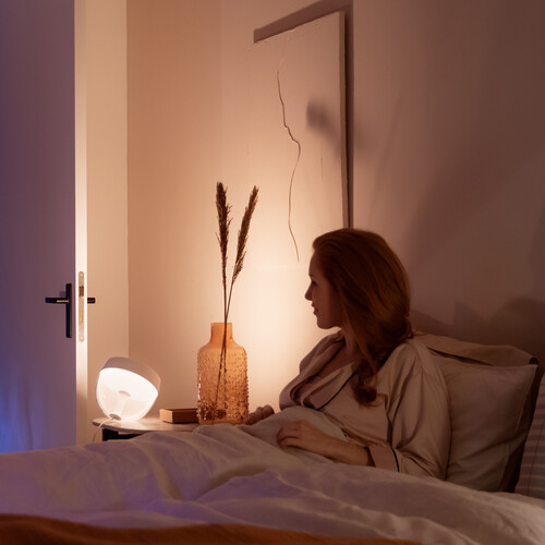 philips hue iris silver