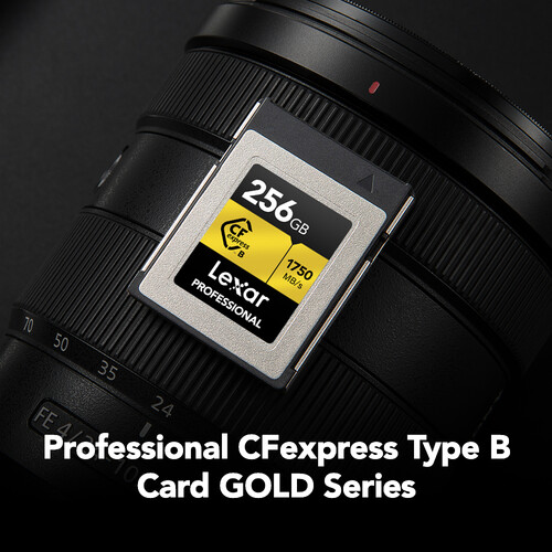 Lexar 256GB Professional CFexpress Type B Card LCXEXPR256G-RNENG