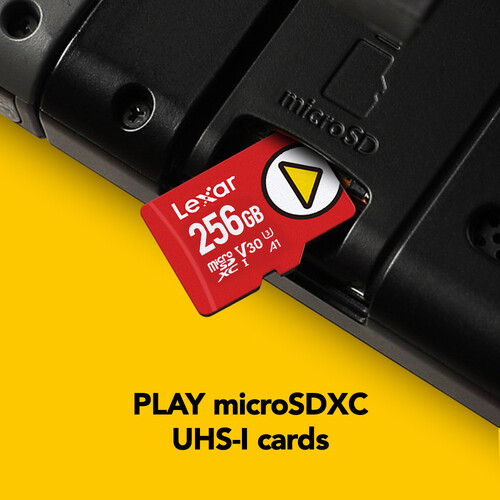 Lexar 256GB PLAY UHS-I microSDXC Memory Card LMSPLAY256G-BNNNU