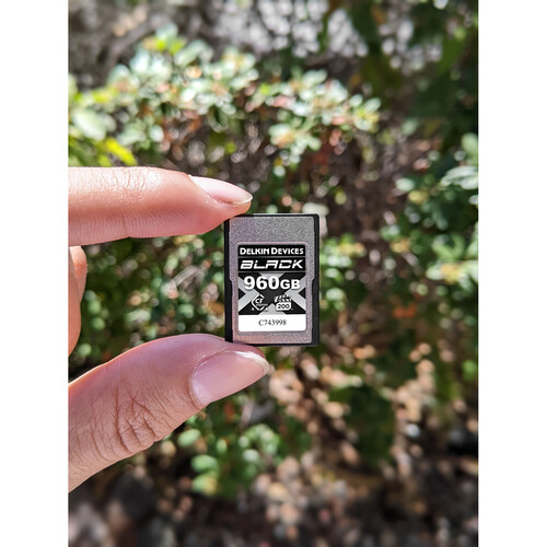 Delkin 960GB